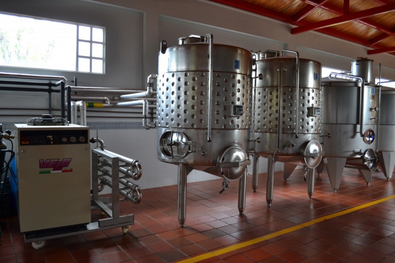 cave-BARGEME-min_wine_production_cantine_winery_drink_alcohol_vine_beverage-902036